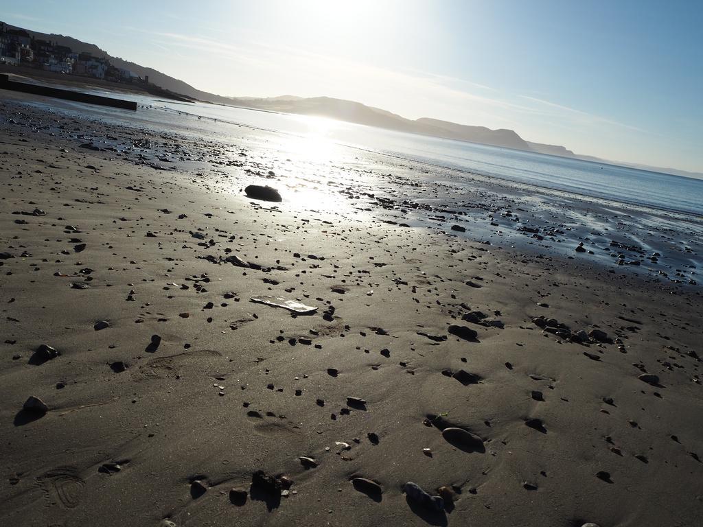 Dorset House Bed and Breakfast Lyme Regis Exteriör bild