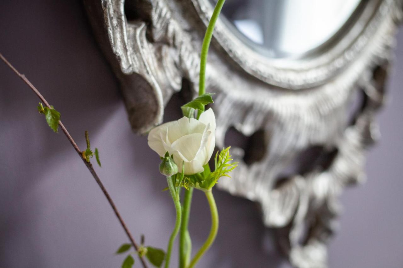 Dorset House Bed and Breakfast Lyme Regis Exteriör bild